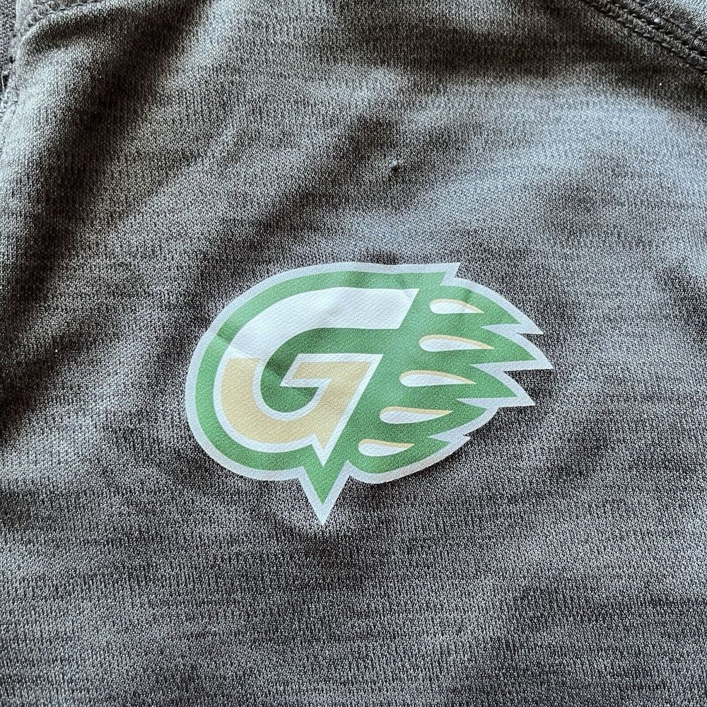 Georgia Gwinnett Grizzlies GGC Long‎ Sleeve 1/4 Zip Gray Pullover Shirt Mens L - Picture 5 of 7